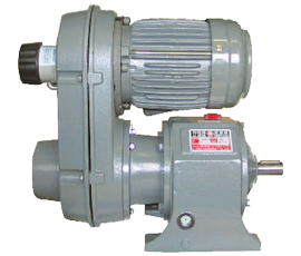 Gear speed reducer with variable speed GRV-H